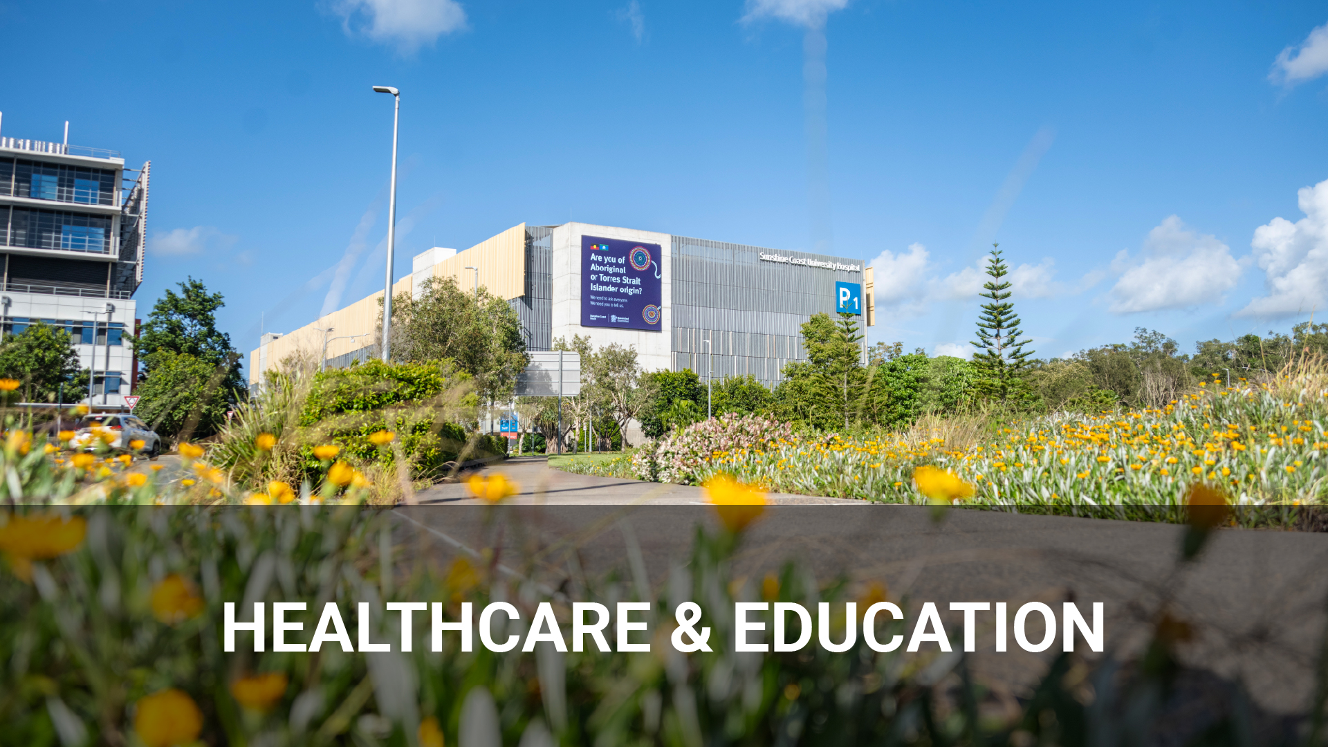 Healthcare & Education